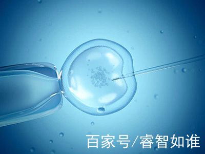 专业拉拉代怀助孕费用多少